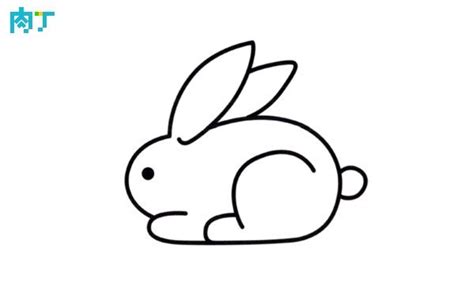 海棠開花 兔子簡單畫法